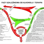 fazy_uzaleznienia_od_alkoholu
